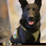 K9 Messi